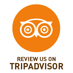 doppio social media icons tripadvisor