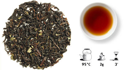 Vento autunno - Thee met hazelnoot - details